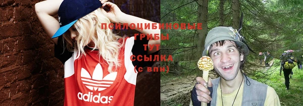 скорость Алзамай