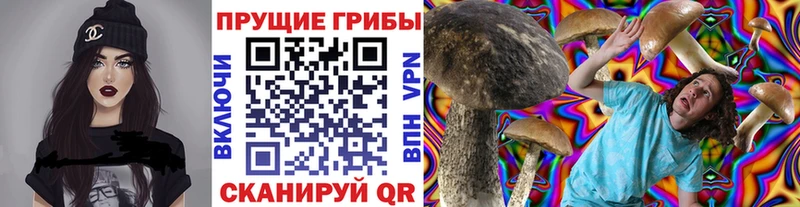 сколько стоит  Ивангород  MEGA   Псилоцибиновые грибы Psilocybine cubensis 